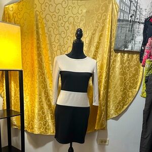 InkaStyl Black and White Long Sleeve Evening / Office Dress